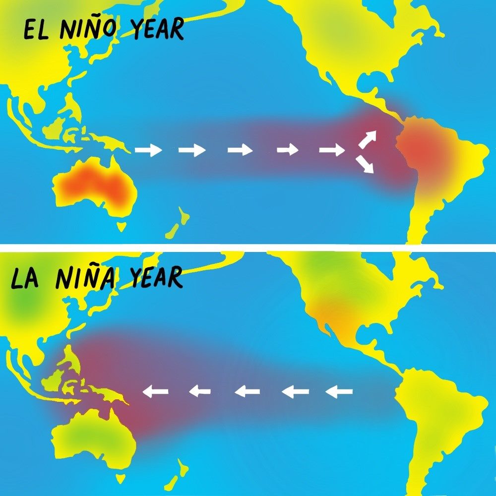 Effects of El Nino and La Nina on Indian Subcontinent OBJECTIVE IAS