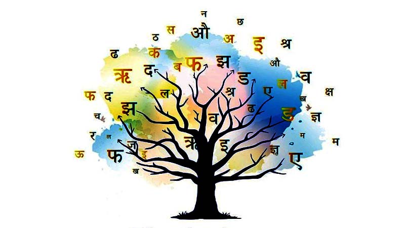 Why Is Hindi Diwas Celebrated